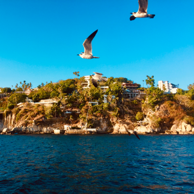 Acapulco-Guerrero